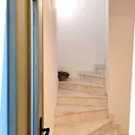 Kaia 3